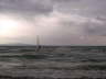 Bodensee Windsurfer