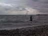 Bodensee Windsurfer im Winter