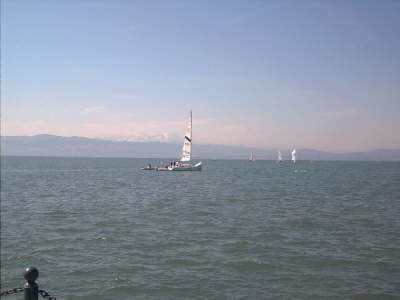 Langenargen Matchrace Training 1 k