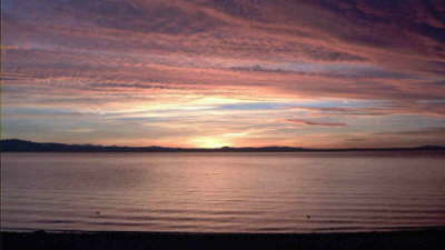 Langenargen Sounter goldrot